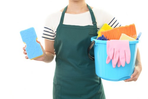 Professional oven cleaning service in a Greenwich home kitchen
