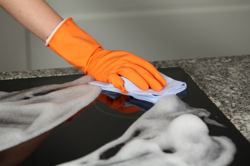 Stain removal and pet odour treatment on carpet fibres