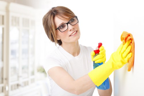 Professional steam carpet cleaning equipment being used on a carpet in a Greenwich home