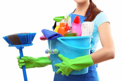 Professional carpet cleaning in a Greenwich home with local access considerations
