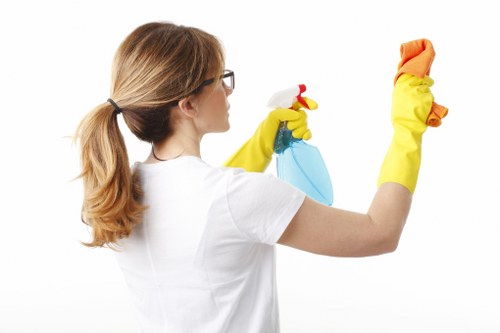 Deep carpet cleaning for a modern Greenwich apartment living room