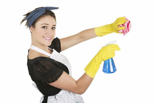 Domestic cleaning supplies arranged for a house in Greenwich