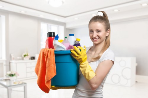 Greenwich home carpet cleaning service removing stubborn pet stains and odours