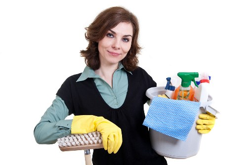 Professional deodorising treatment for pet smells in a Greenwich property